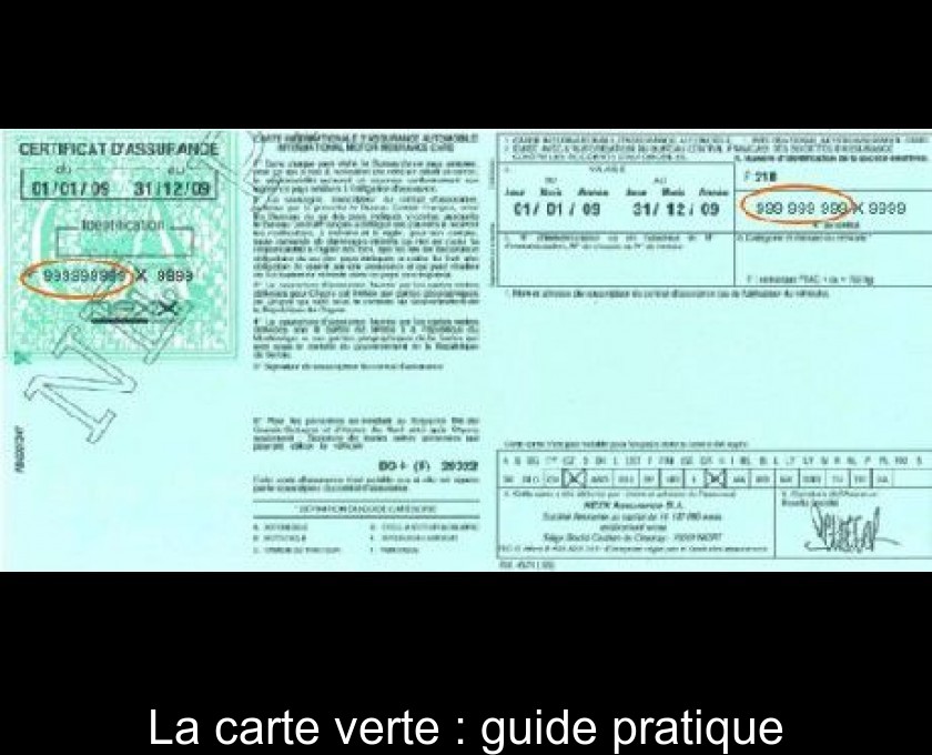 découvrez les conséquences de la carte verte d'assurance sur votre couverture et votre sécurité routière. informez-vous sur les obligations légales, les protections offertes et l'importance de cette assurance pour conduire en toute sérénité.