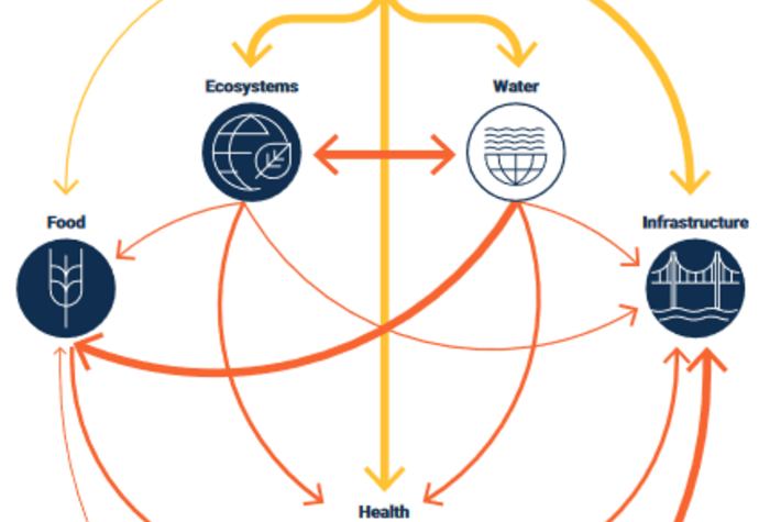 découvrez les prévisions et impacts des sinistres climatiques en france pour l'année 2025, ainsi que les mesures de prévention et d'adaptation nécessaires.