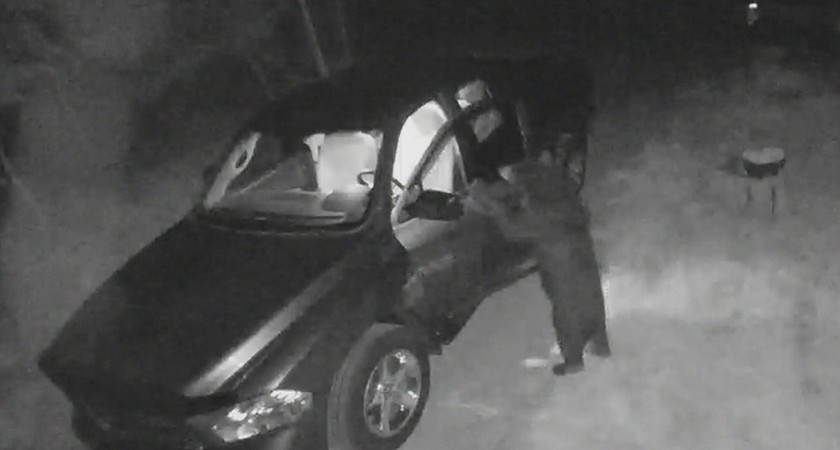 découvrez les détails de la condamnation de trois individus impliqués dans une affaire mêlant déguisement d’ours et voitures de luxe, une histoire hors du commun qui a retenu l'attention.